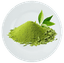 Green Tea Extract